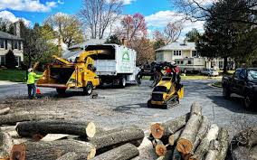 Best Landscape Design and Installation  in Kenbridge, VA